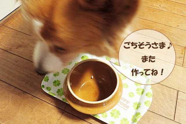 コーギー犬まりも さつまいもと鶏肉の混ぜご飯が大好き コーギーまりも Marimo The Corgi